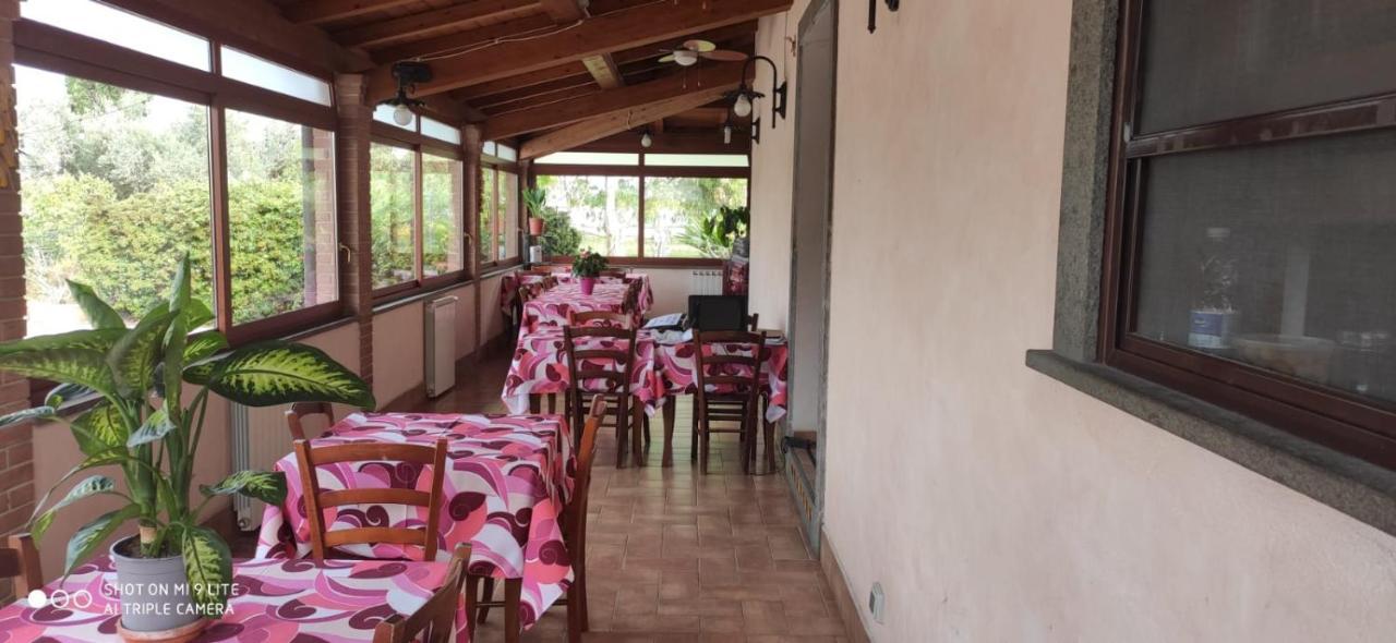 La Piana Di Alsium Villa Ladispoli Eksteriør billede