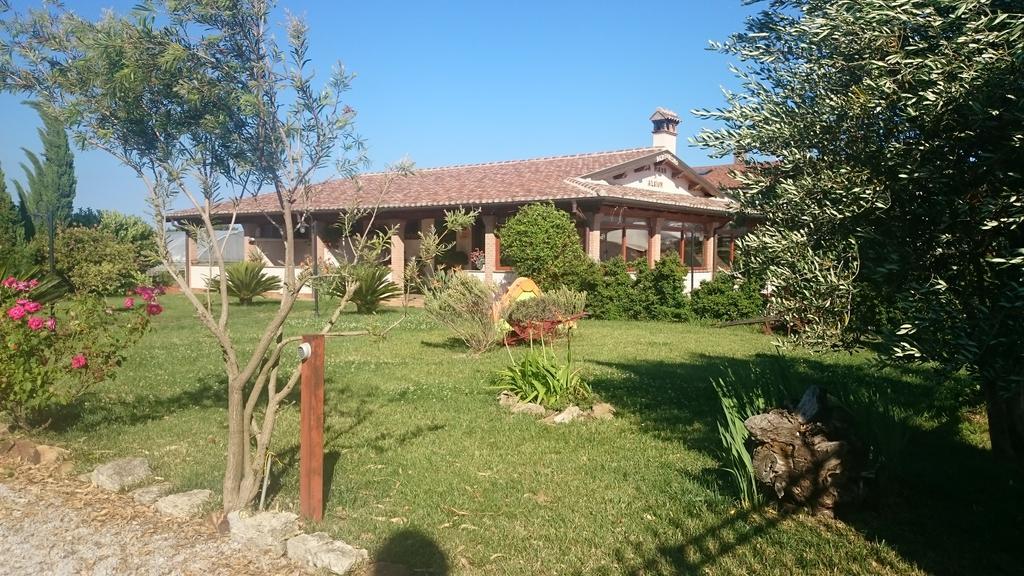 La Piana Di Alsium Villa Ladispoli Eksteriør billede
